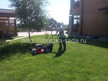 уход за газоном на участке
